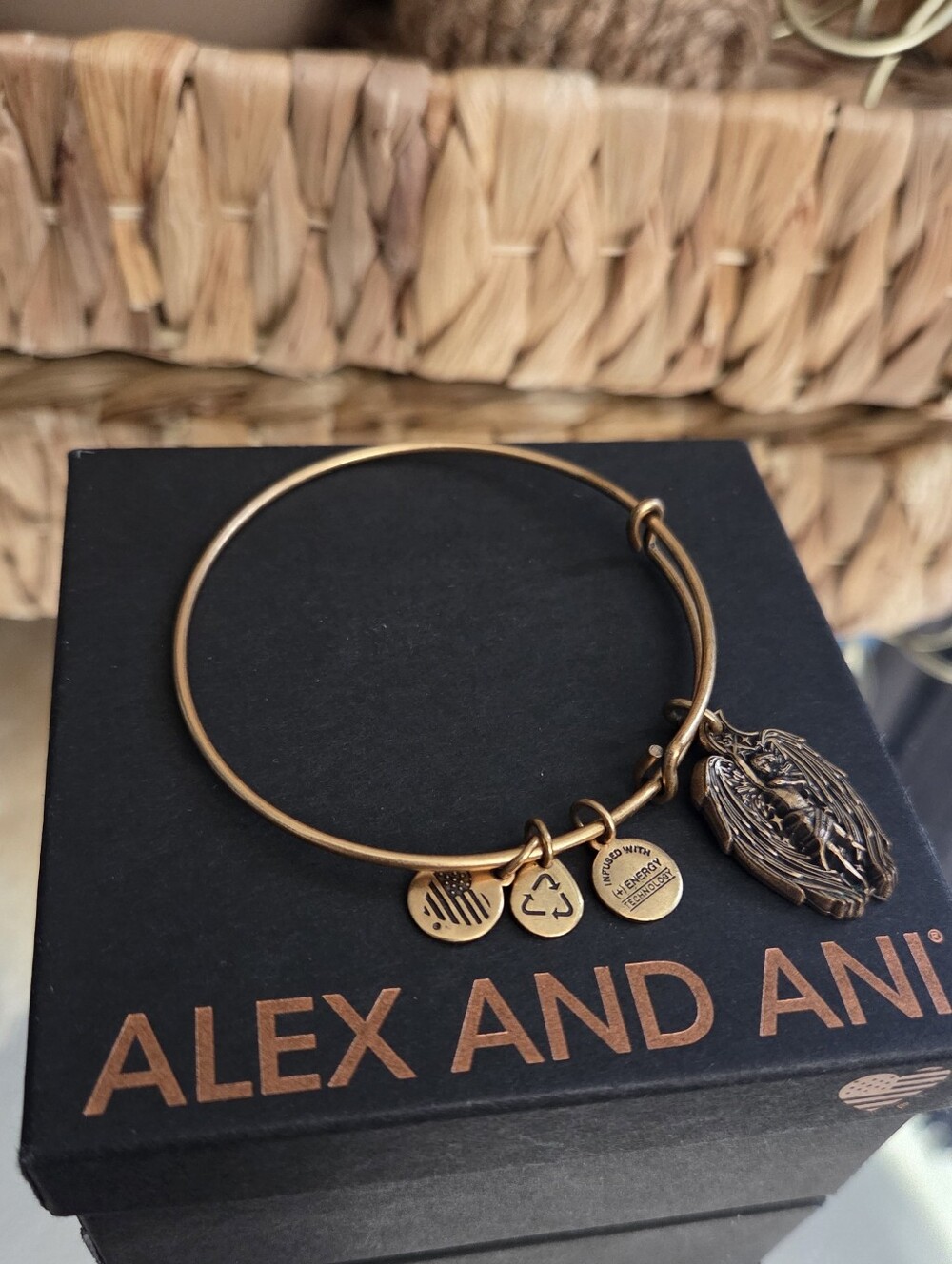 Alex and Ani Guardian of Strength Angel Expandable Bangle Bracelet w/ Box